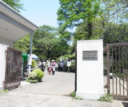 koisikawa