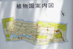koisikawa