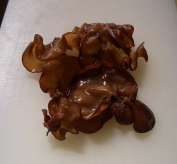 �����餲