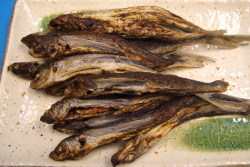 �䤭����