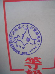 �饦������